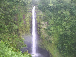 Akaka Falls State Park | Hamakua Coast